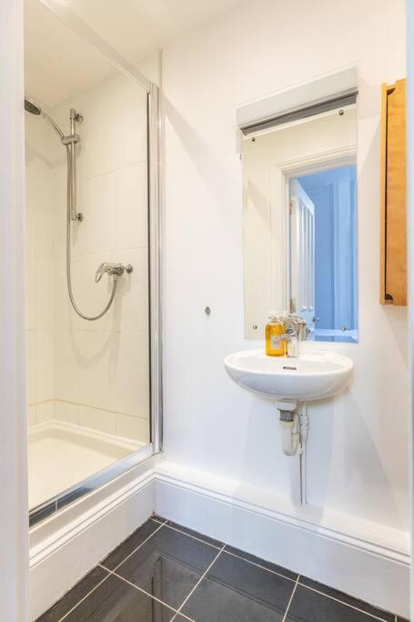 Victorian Flat Close To Station With Large Garden Apartment Brighton Ngoại thất bức ảnh